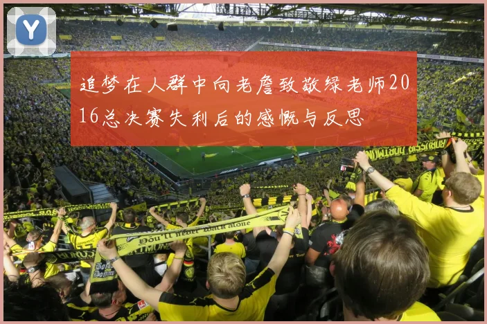 追梦在人群中向老詹致敬绿老师2016总决赛失利后的感慨与反思
