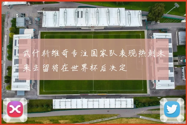 武什科维奇专注国家队表现热刺未来去留将在世界杯后决定